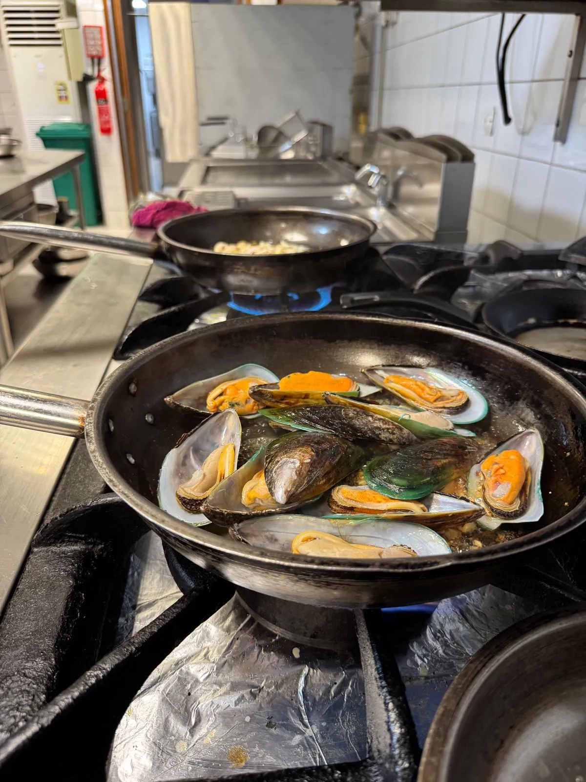 Fresh Provencal Mussels